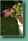 Demeure de Flore